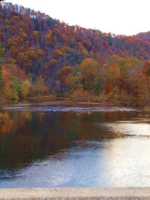 1382 Rorer Road Renick, WV 24966 - Photo 6 of 18 Gallery Image 6