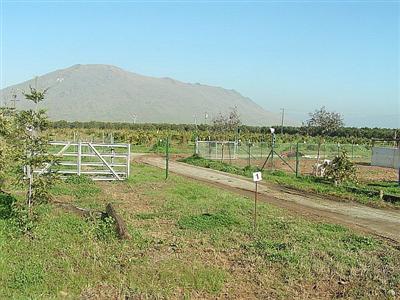 0 Goodfellow Avenue Reedley, CA 93654 - Photo 2 of 6 Gallery Image 2