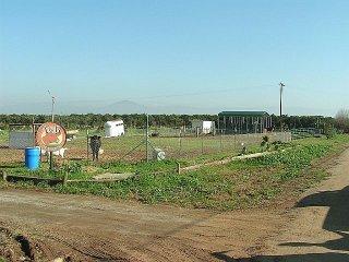 0 Goodfellow Avenue Reedley, CA 93654 - Photo 3 of 6 Gallery Image 3
