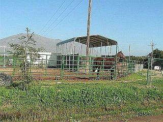 0 Goodfellow Avenue Reedley, CA 93654 - Photo 5 of 6 Gallery Image 5