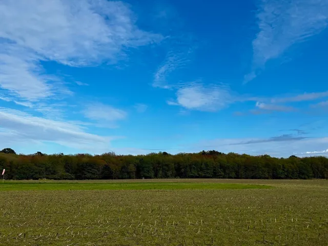 a view of an ocean and beach