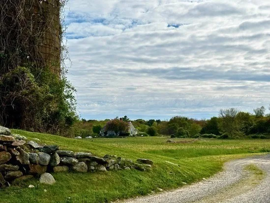 a view of a lush green field