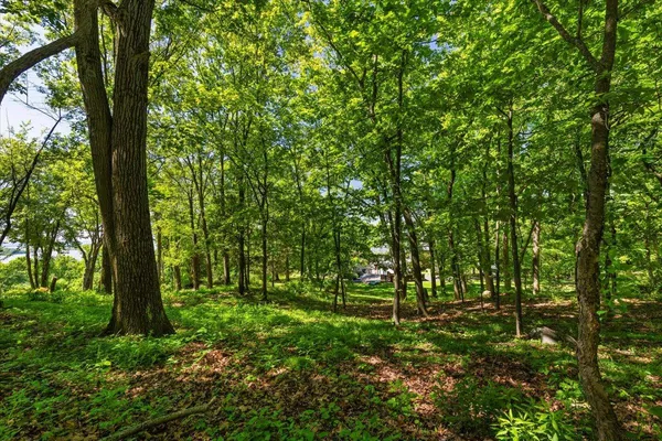 a view of outdoor space and green space