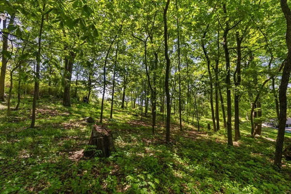 a view of yard with green space