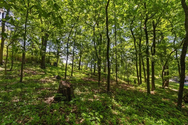 a view of yard with green space