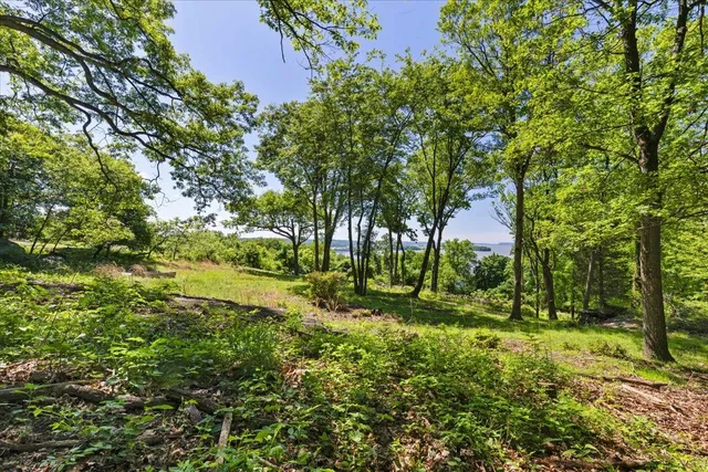 a view of backyard with green space