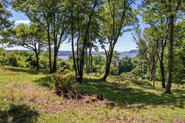 a view of a yard with a tree
