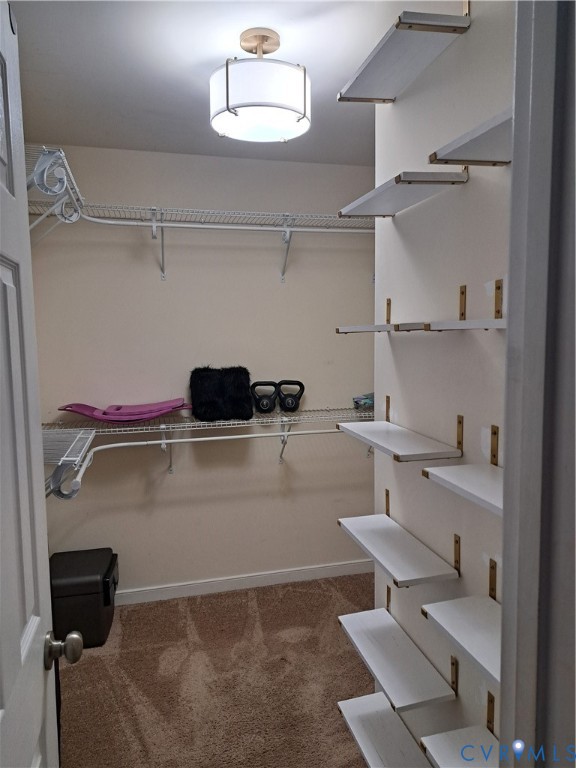 5347 Meadoway Road North Chesterfield, VA 23234 - Photo 20 of 31 closet in Master bedroom. Wall-mounted shelving sy