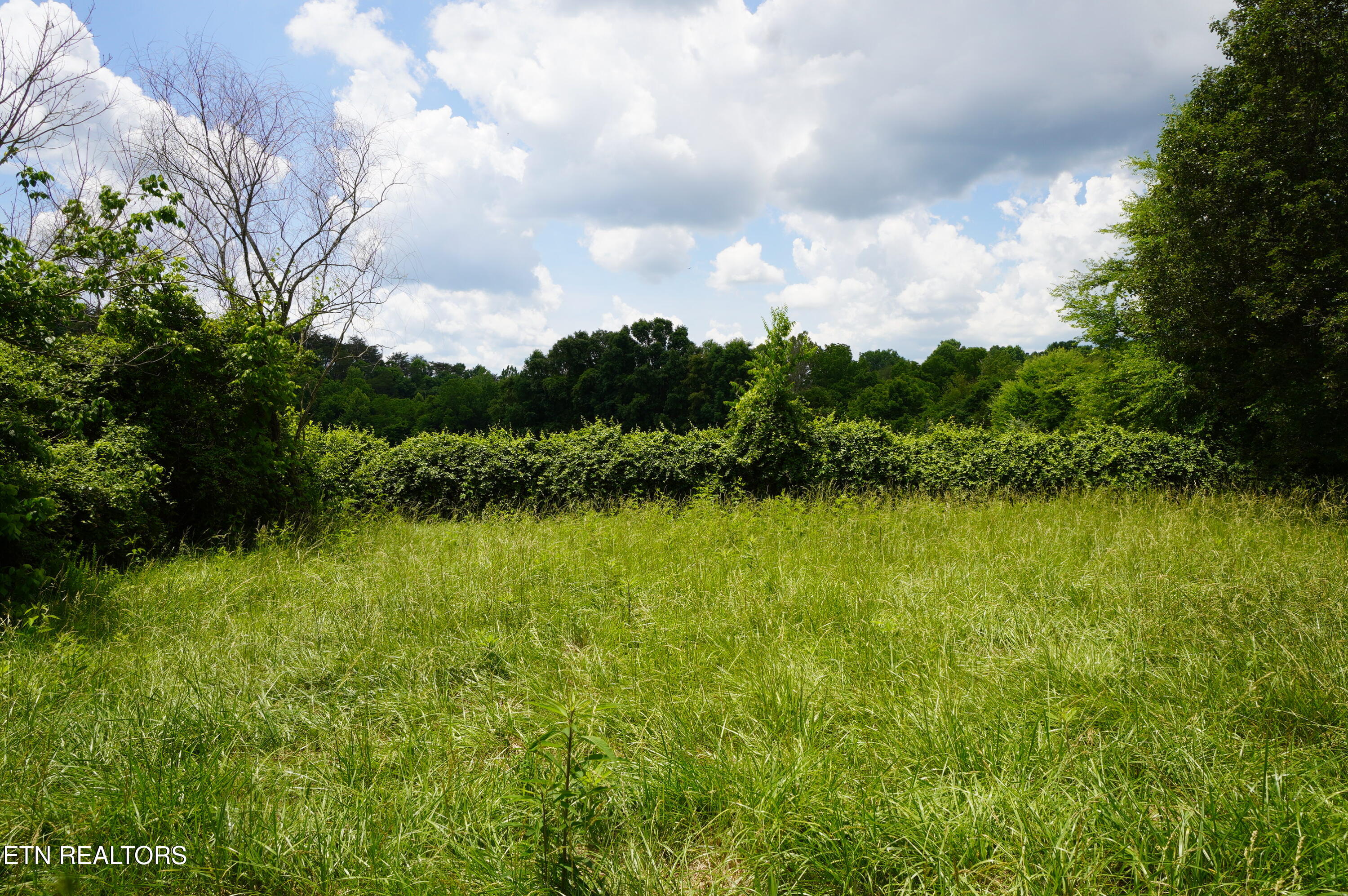 160 Kate Riley Lane Mohawk, TN 37810 - Photo 21 of 28 kate riley - nfb (3)