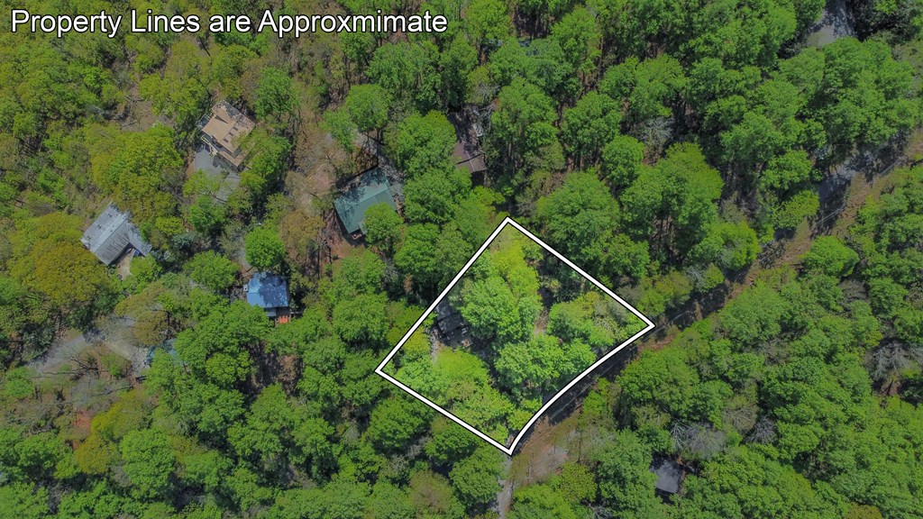 1213 Mountain Oak Road Ellijay, GA 30536 - Photo 6 of 65 a view of a backyard