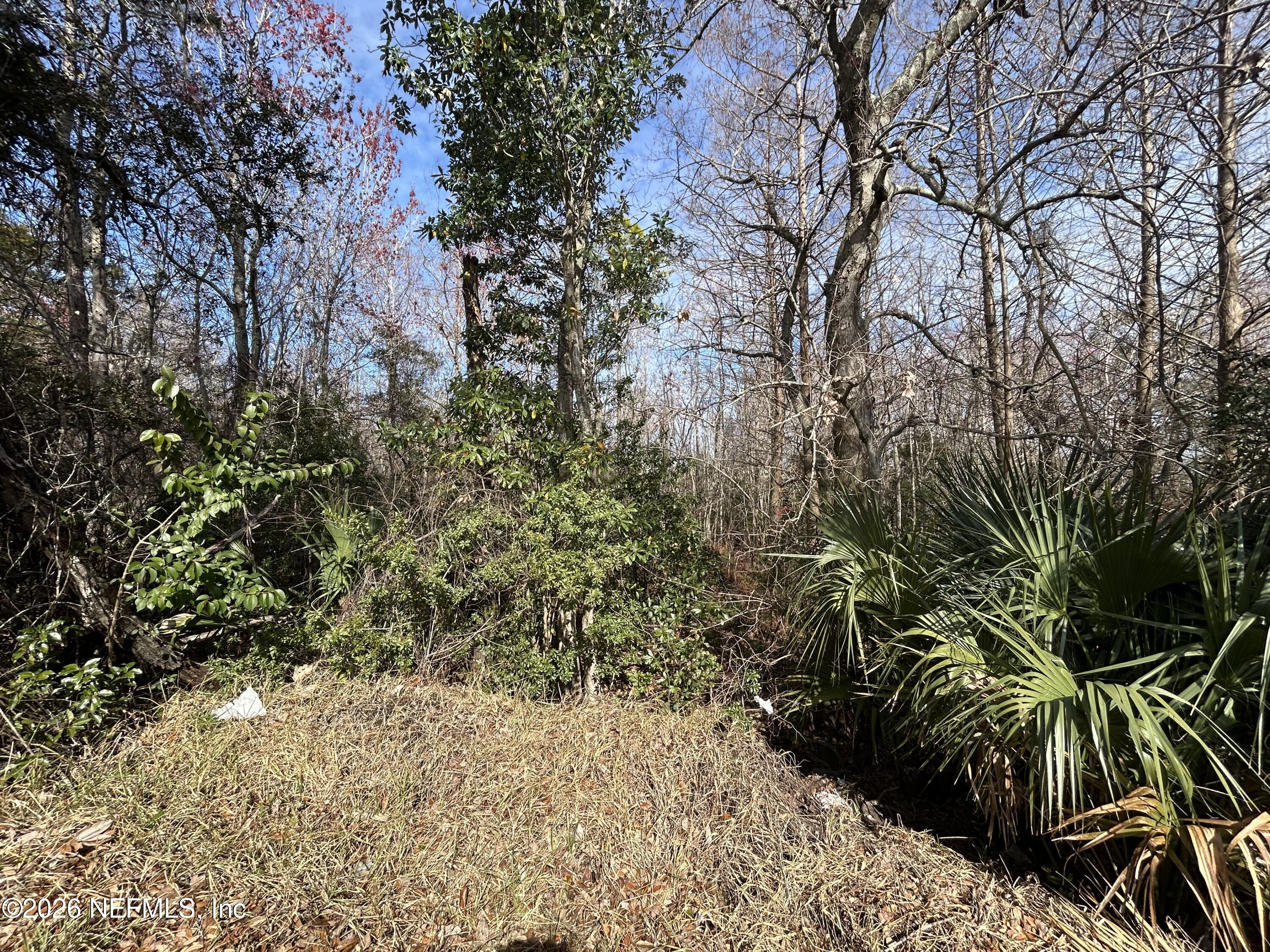 0 Beach Boulevard Jacksonville, FL 32250 - Photo 13 of 15 a view of a yard with plants and trees