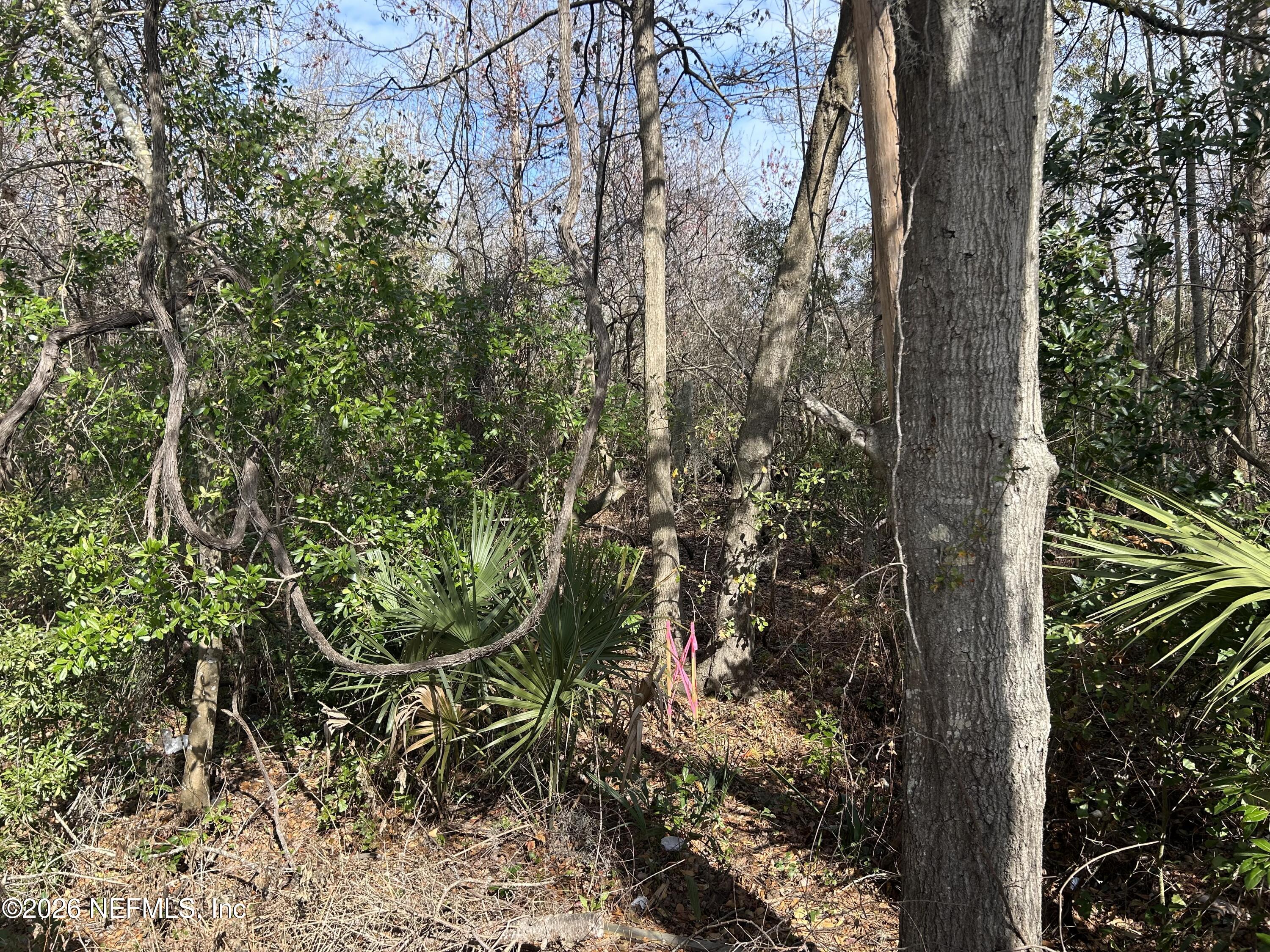 0 Beach Boulevard Jacksonville, FL 32250 - Photo 14 of 15 a view of a garden