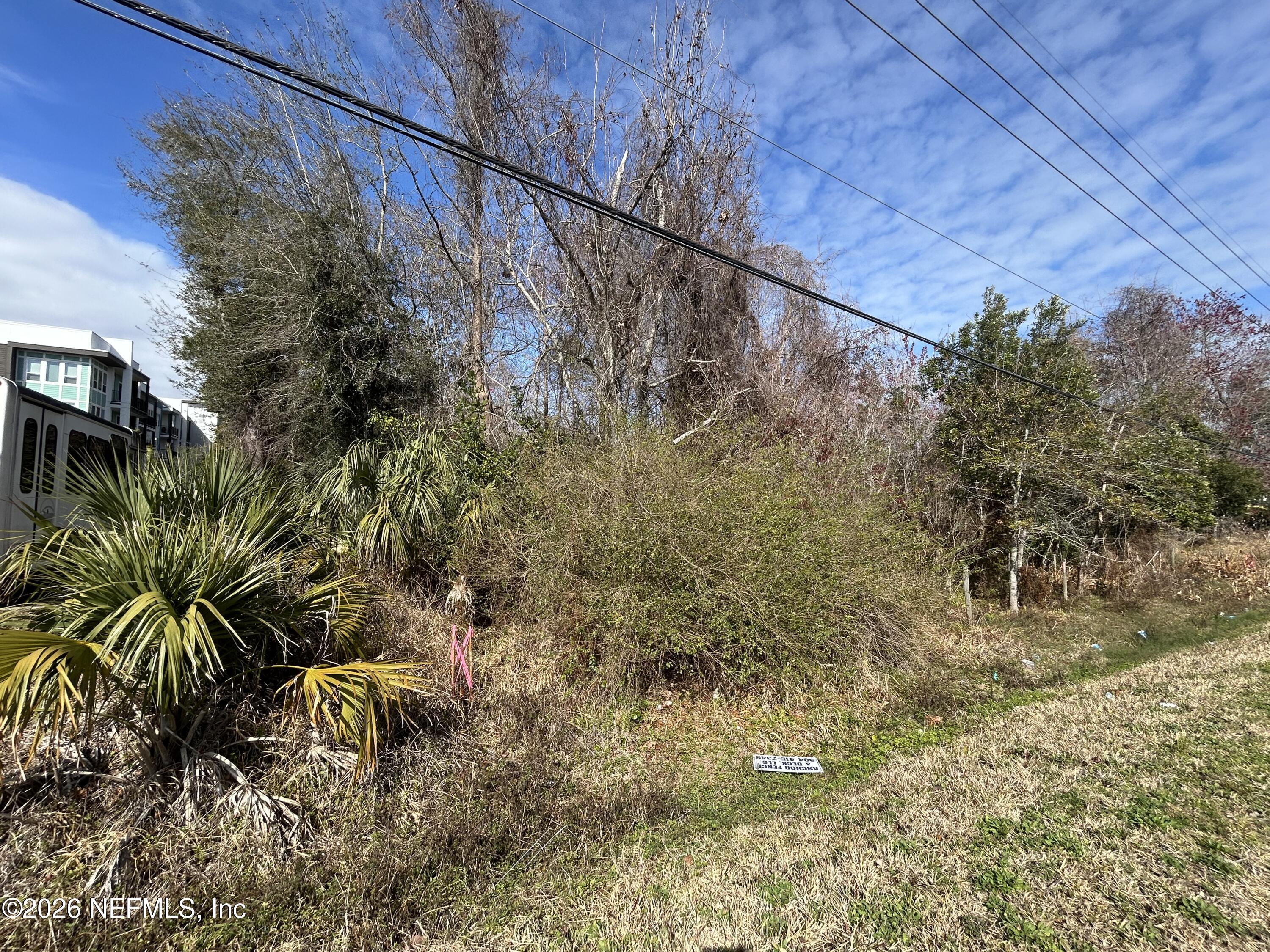 0 Beach Boulevard Jacksonville, FL 32250 - Photo 5 of 15 a view of a yard
