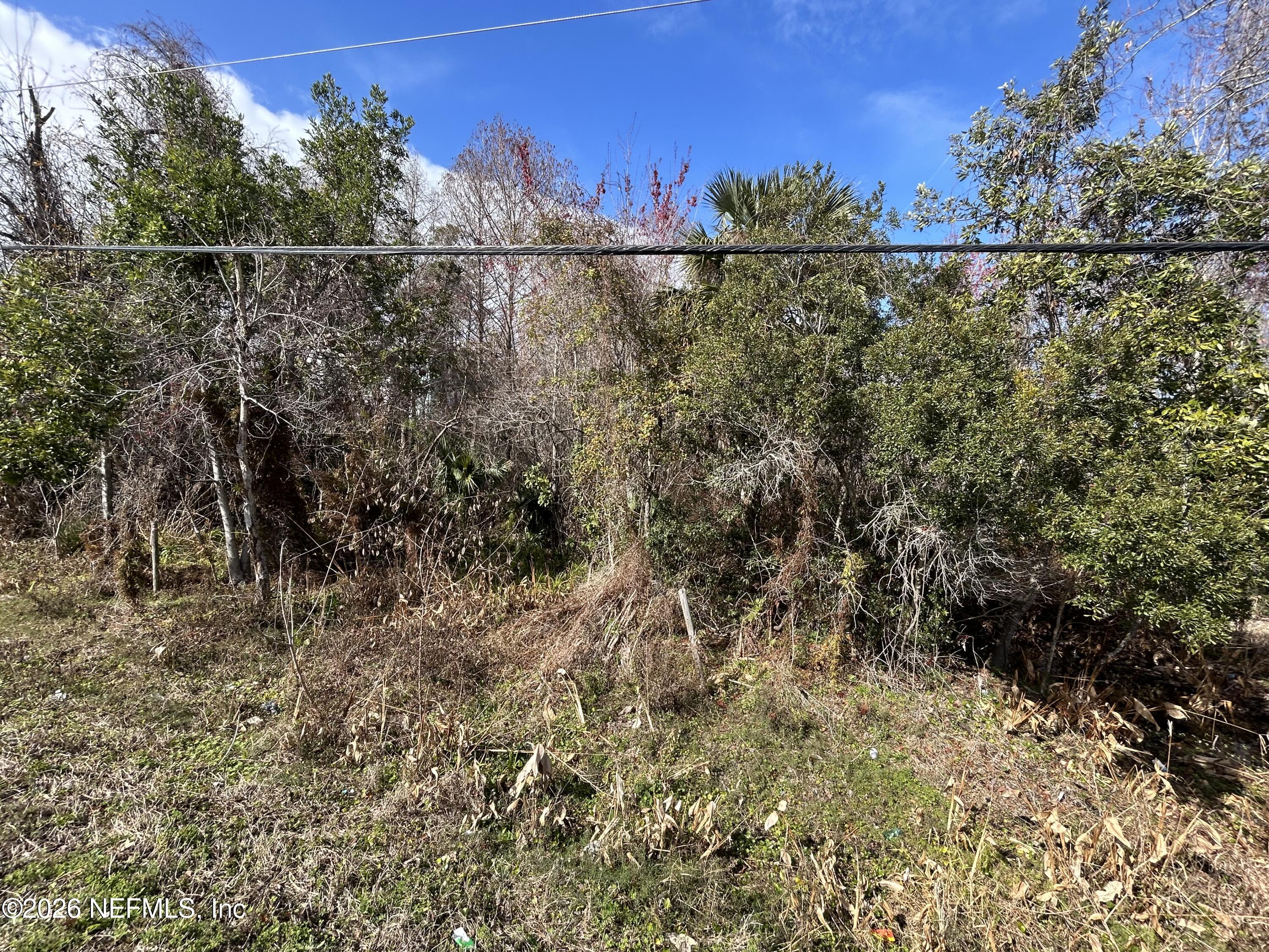 0 Beach Boulevard Jacksonville, FL 32250 - Photo 6 of 15 a view of a yard and mountain view