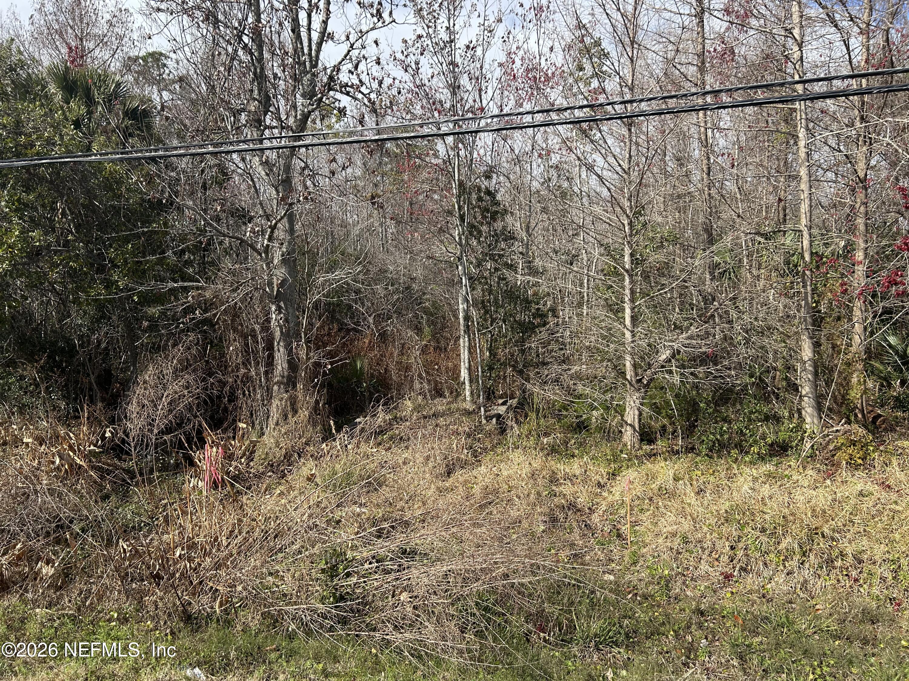 0 Beach Boulevard Jacksonville, FL 32250 - Photo 8 of 15 a view of a forest