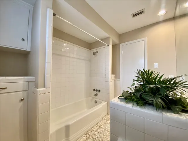 a bathroom with a potted plant and a bathtub