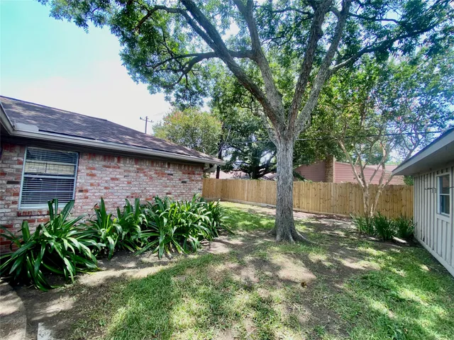 a view of a backyard with plants and large tree