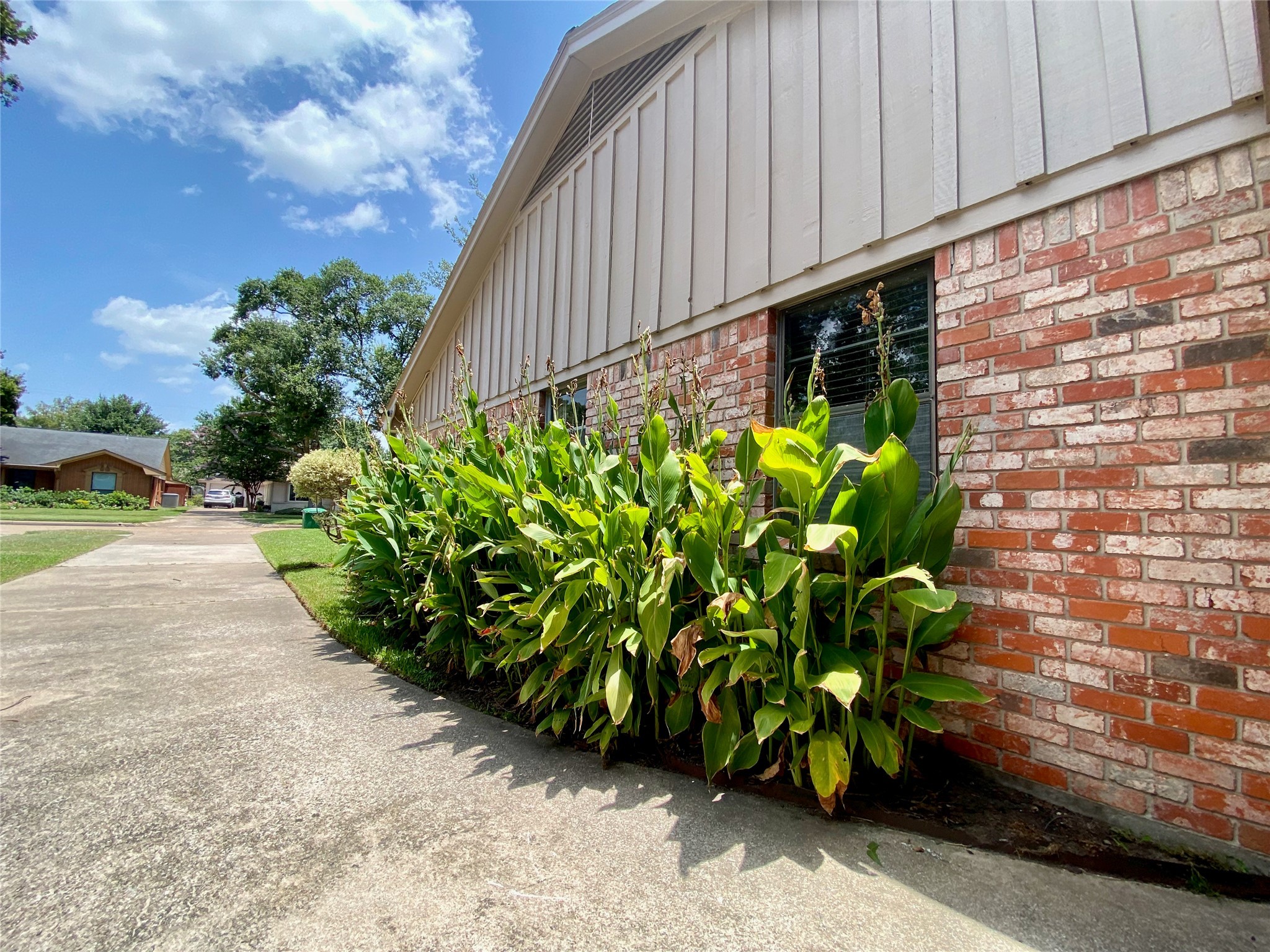 2206 Tannehill Drive Houston, TX 77008 - Photo 8 of 42 a view of a garden with a pathway
