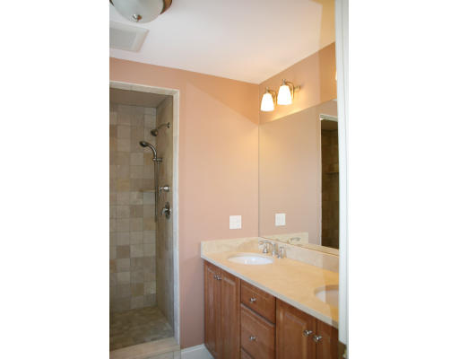 77 Orchardhill Road, Unit 77 Boston, MA 02130 - Photo 10 of 16 Gallery Image 10