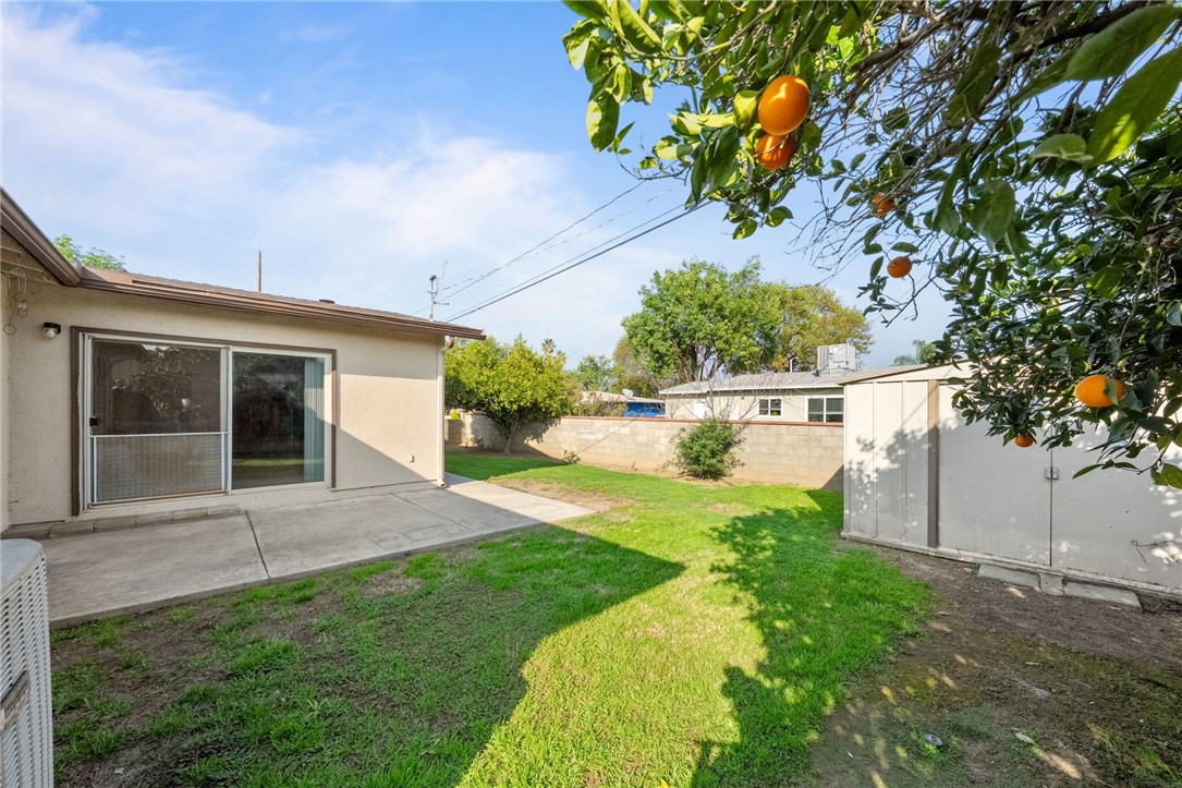 3075 David Street Riverside, CA 92506 - Photo 28 of 40 Wide yard view with patio space, storage shed, and mature citrus trees along the fence line.