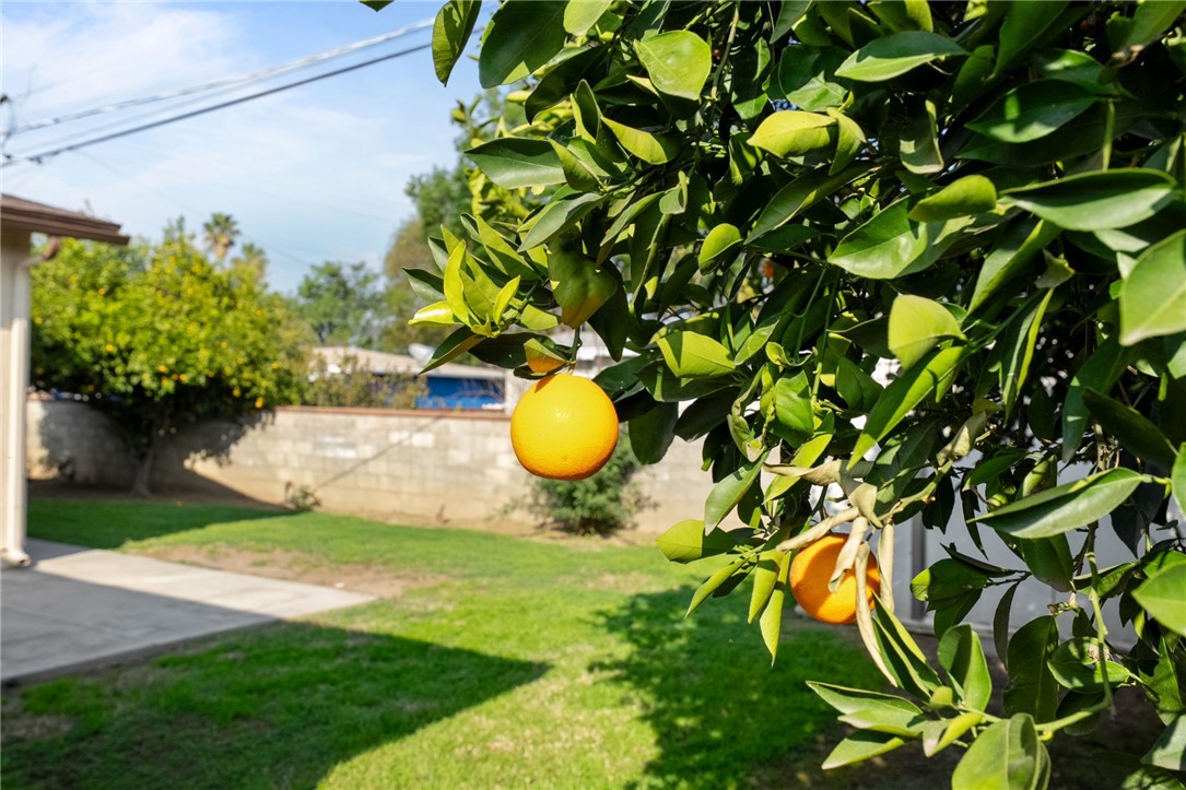 3075 David Street Riverside, CA 92506 - Photo 29 of 40
