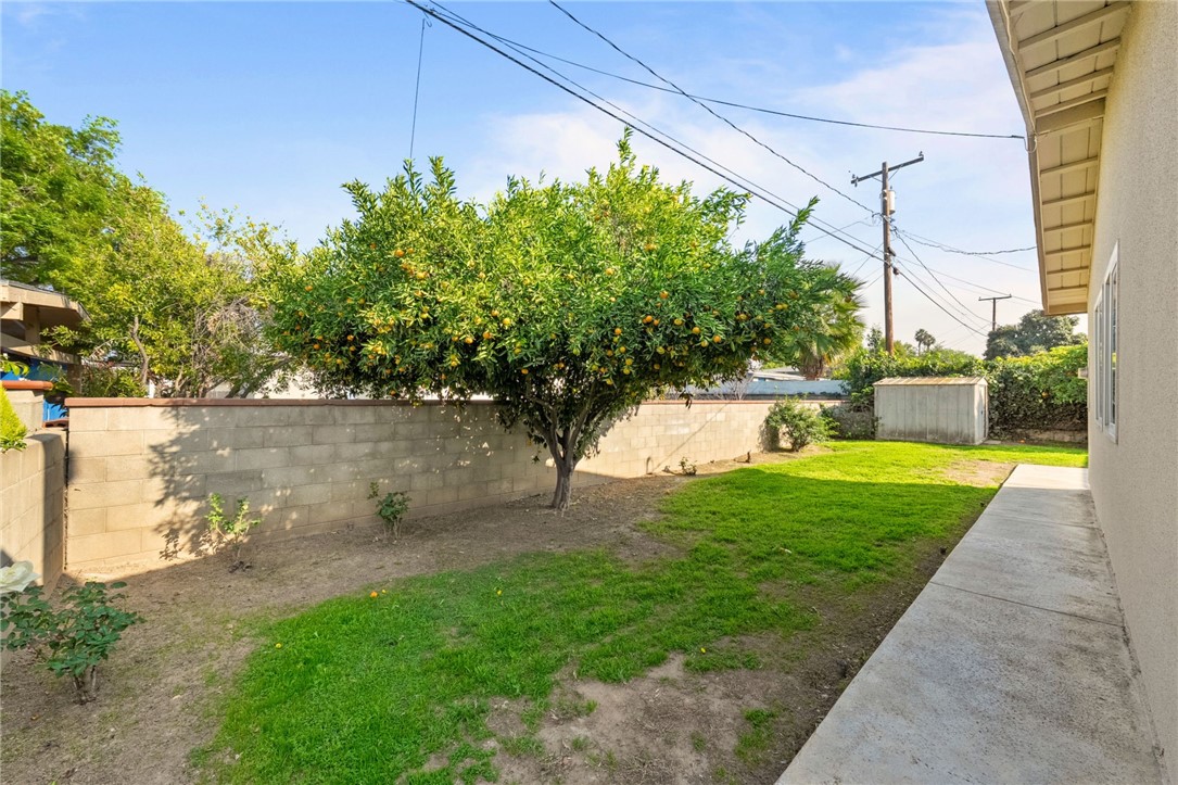 3075 David Street Riverside, CA 92506 - Photo 32 of 40 Mature citrus tree in the backyard adds shade, character, and seasonal fruit.