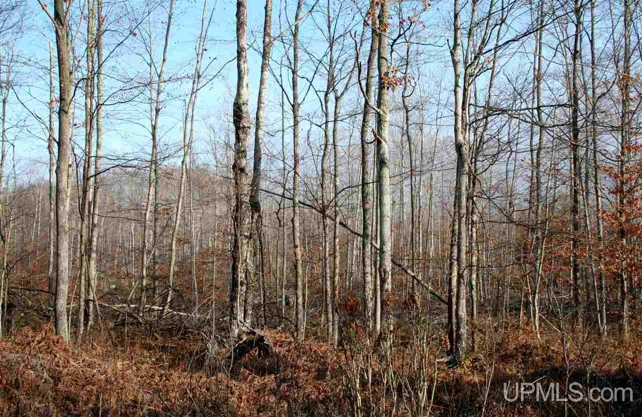 4020 W Letson Road Gulliver, MI 49840 - Photo 7 of 23