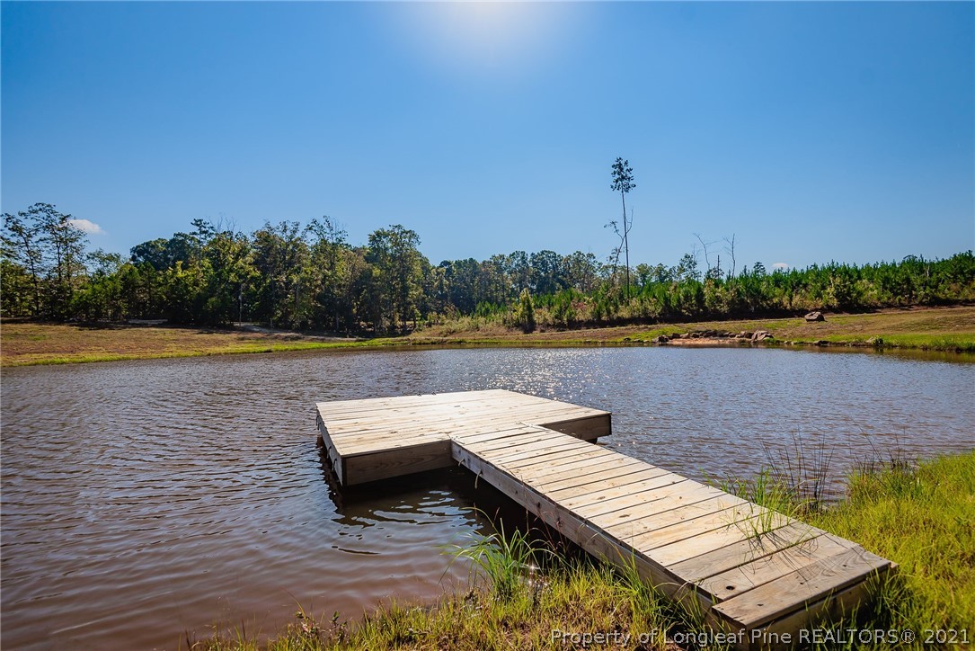 60 Appletree Road Sanford, NC 27330 - Photo 36 of 41 Gallery Image 36