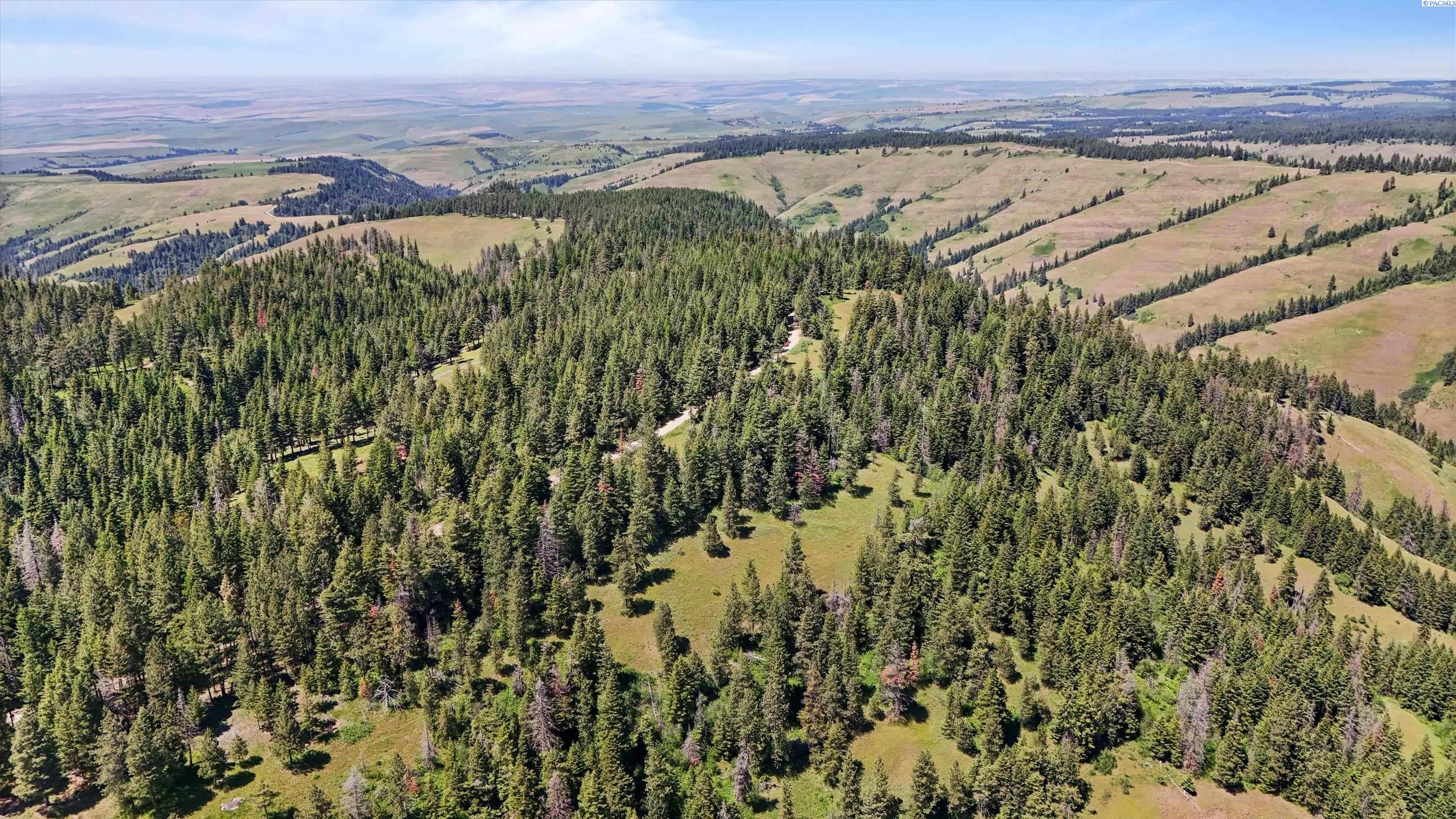 Unk20 Blacksnake Ridge Road Walla Walla, WA 99362 - Photo 35 of 41 Gallery Image 35