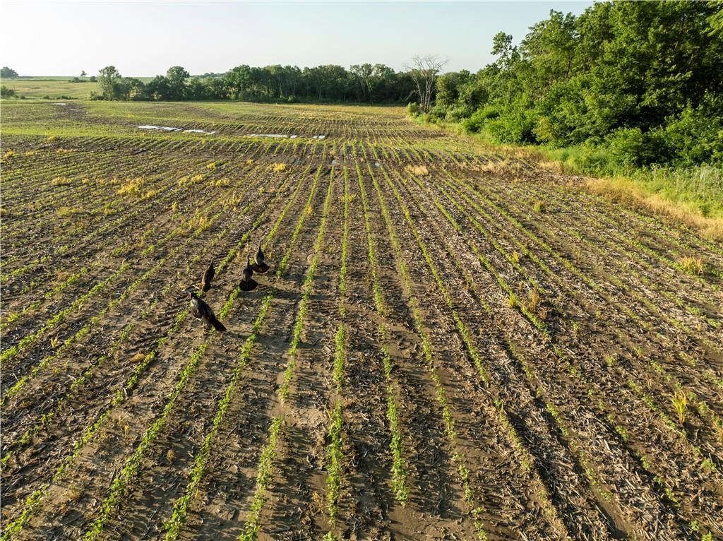 0 142nd Road Meriden, KS 66512 - Photo 8 of 22