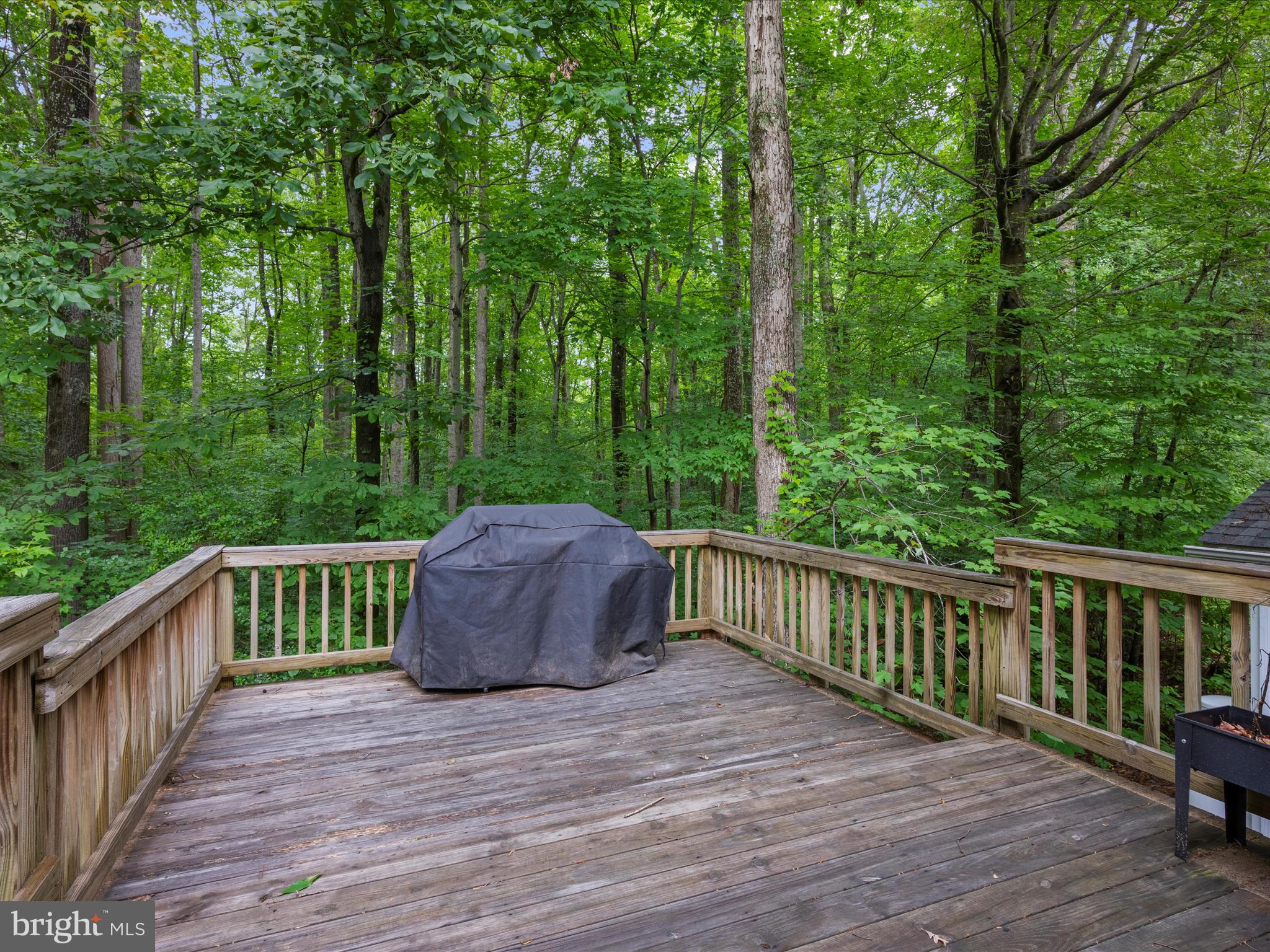 249 Double Oak Road Prince Frederick, MD 20678 - Photo 26 of 30 a view of a deck