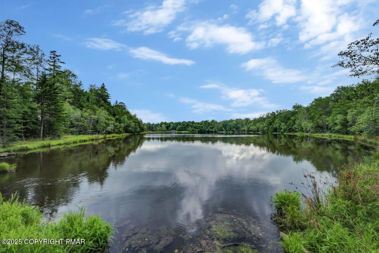 238 King Arthur Road Pocono Lake, PA 18347 - Photo 12 of 95 238 King Arthur Rd 05 Large