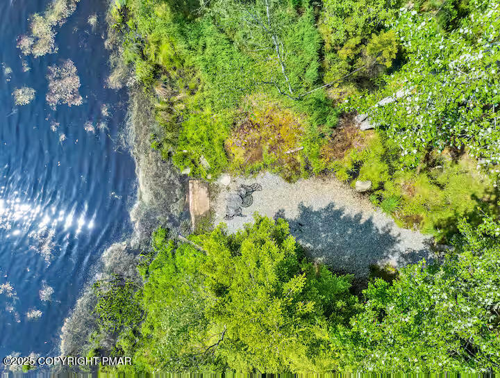238 King Arthur Road Pocono Lake, PA 18347 - Photo 5 of 95 a backyard of a house with lots of green space and trees all around