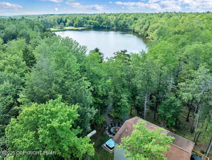 238 King Arthur Road Pocono Lake, PA 18347 - Photo 6 of 94 House/Lake Overview
