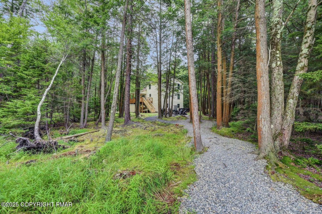 238 King Arthur Road Pocono Lake, PA 18347 - Photo 83 of 95 a view of a backyard with large trees and plants