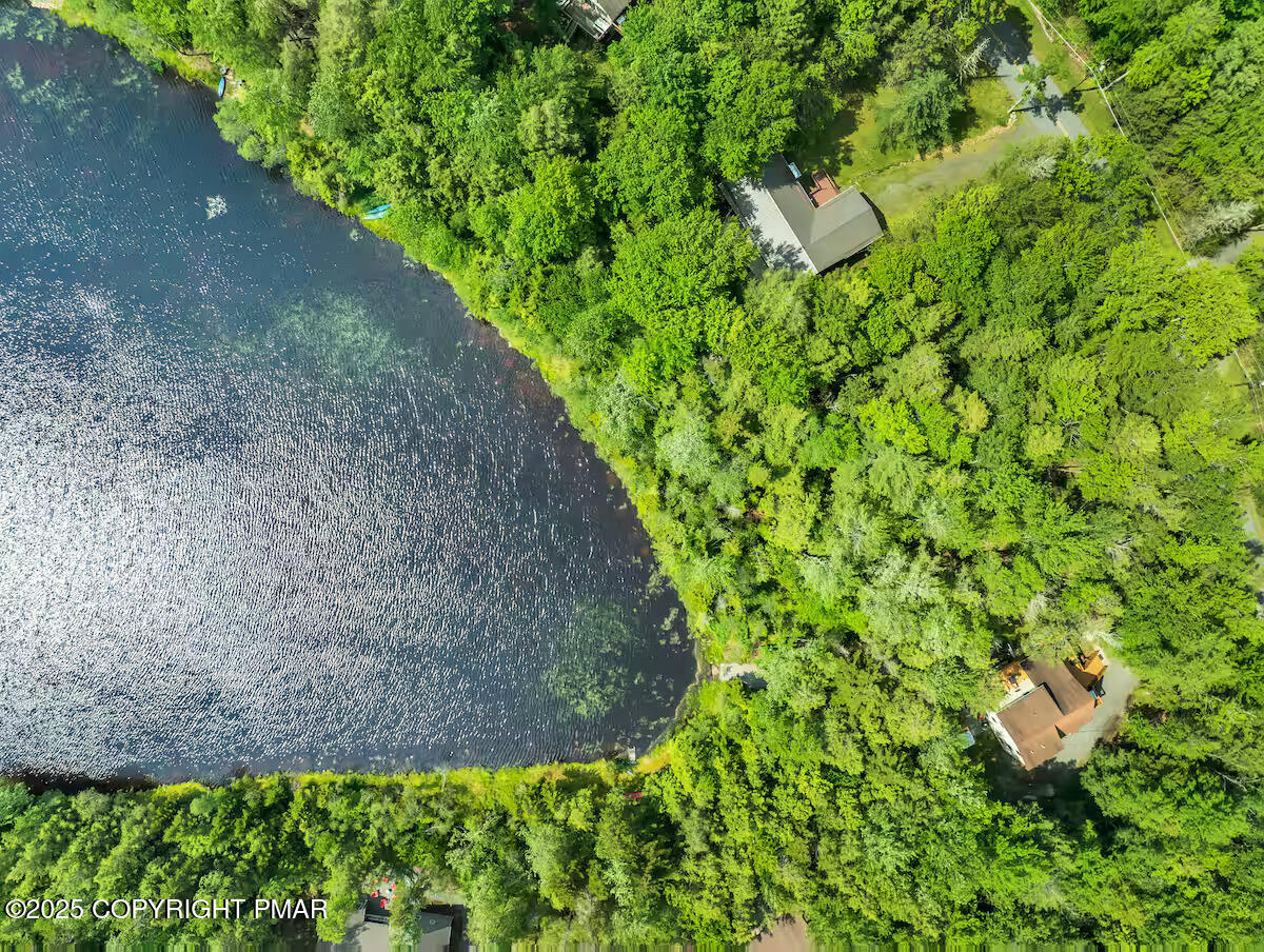 238 King Arthur Road Pocono Lake, PA 18347 - Photo 88 of 95 a view of a garden with a tree