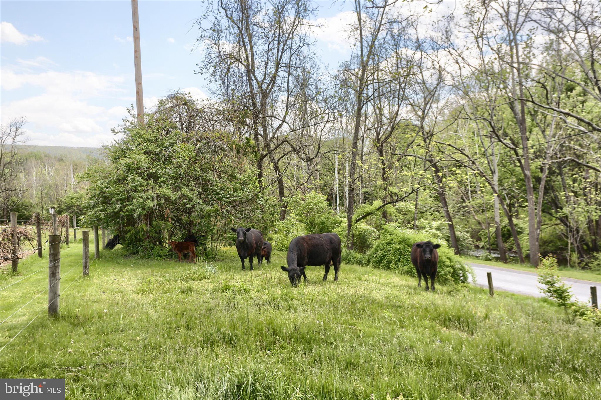 1010 Adams Grove Road Blain, PA 17006 - Photo 42 of 92 Gallery Image 42