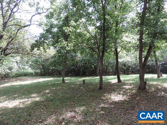 0 Bumgardeners Ford Road Rileyville, VA 22650 - Photo 3 of 11 a view of outdoor space with lots of trees