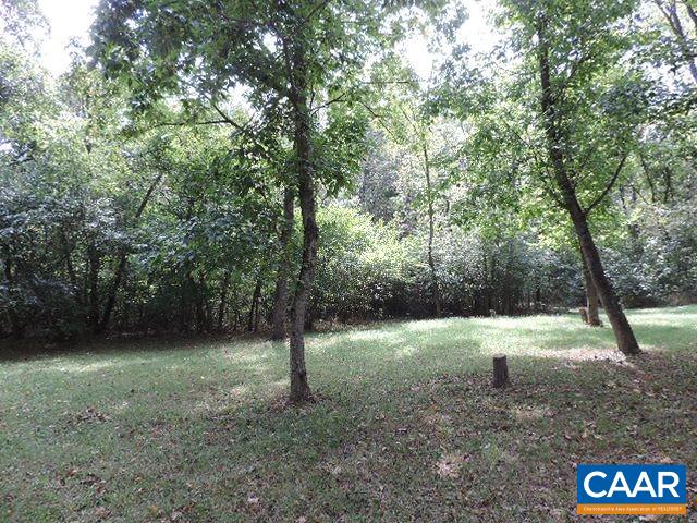 0 Bumgardeners Ford Road Rileyville, VA 22650 - Photo 4 of 11 a view of a forest with trees in the background