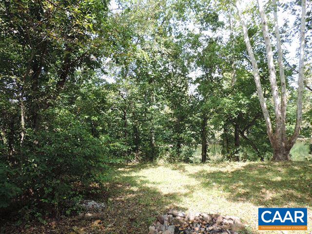 0 Bumgardeners Ford Road Rileyville, VA 22650 - Photo 5 of 11 a view of a tree with a yard