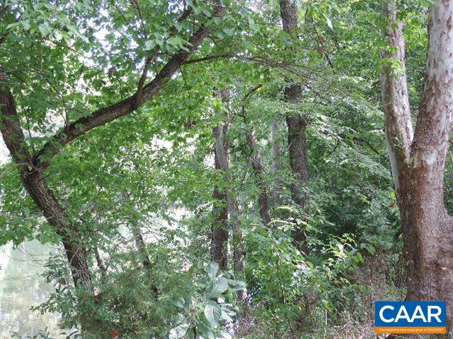 0 Bumgardeners Ford Road Rileyville, VA 22650 - Photo 6 of 11 a view of a street with a tree