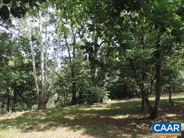 0 Bumgardeners Ford Road Rileyville, VA 22650 - Photo 9 of 11 a view of a trees in a yard