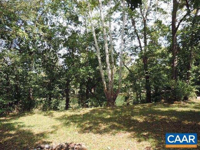 0 Bumgardeners Ford Road Rileyville, VA 22650 - Photo 10 of 11 a view of a yard with large trees