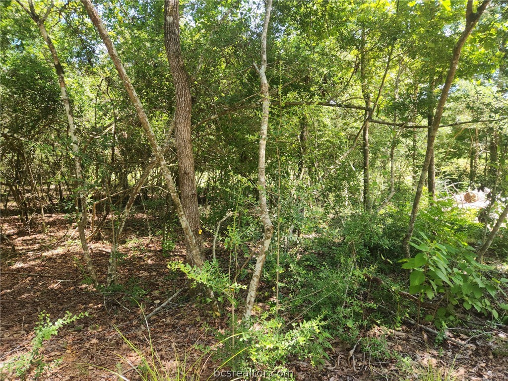 281 West Sierra Road Coldspring, TX 77331 - Photo 39 of 44 Gallery Image 39