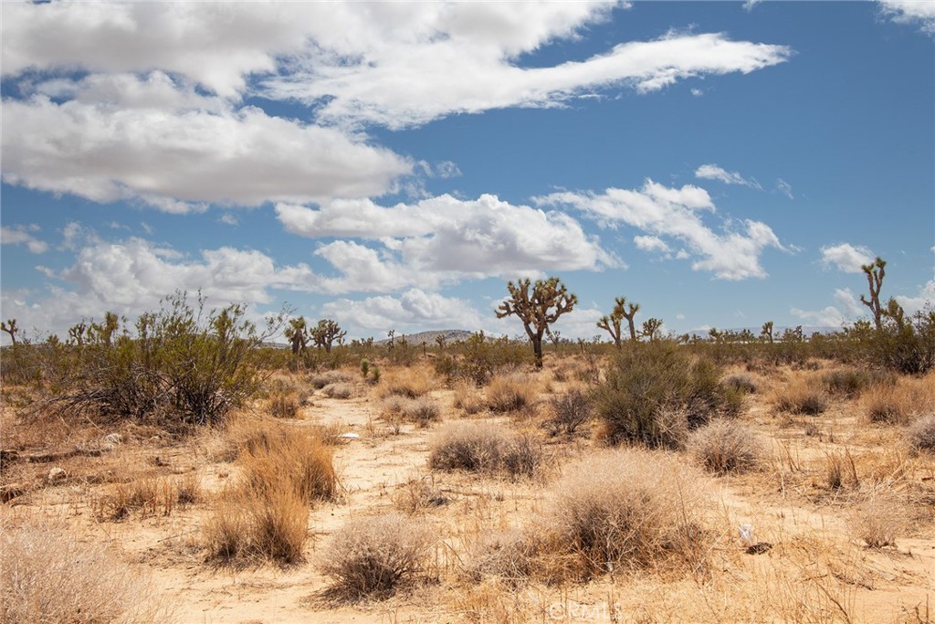 1448 Columbus Road Landers, CA 92285 - Photo 12 of 18 a view of a sky