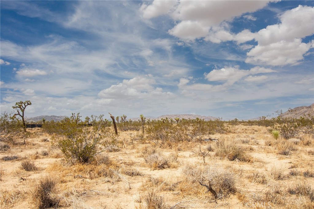 1448 Columbus Road Landers, CA 92285 - Photo 14 of 18