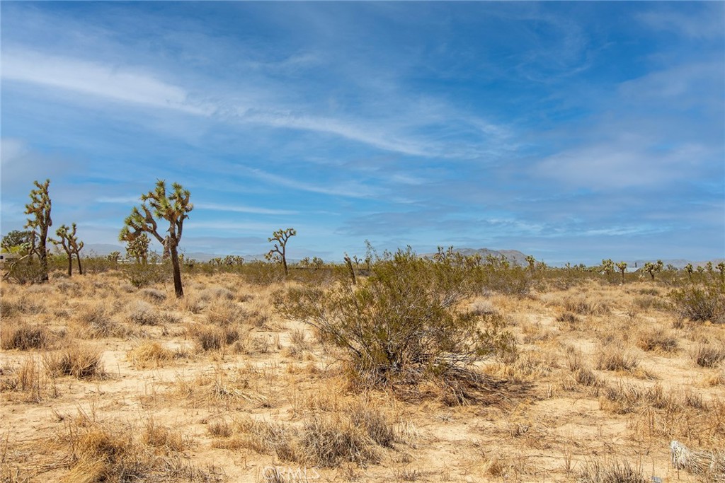 1448 Columbus Road Landers, CA 92285 - Photo 7 of 18 a view of a bunch of mountains in the background