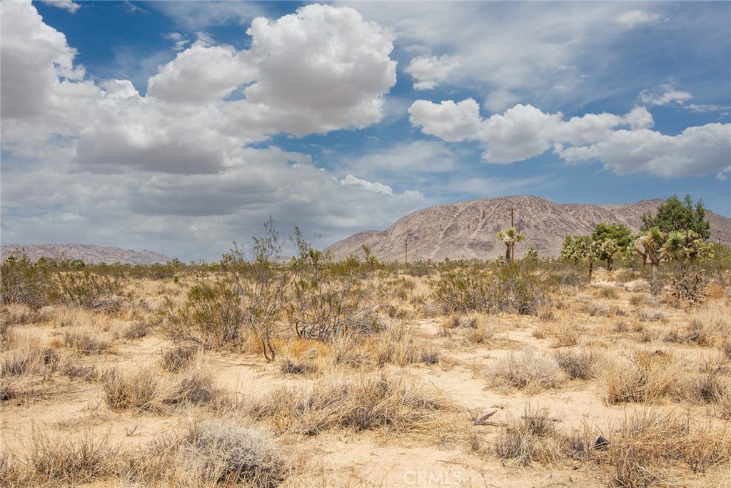 1448 Columbus Road Landers, CA 92285 - Photo 9 of 18 a view of a sky