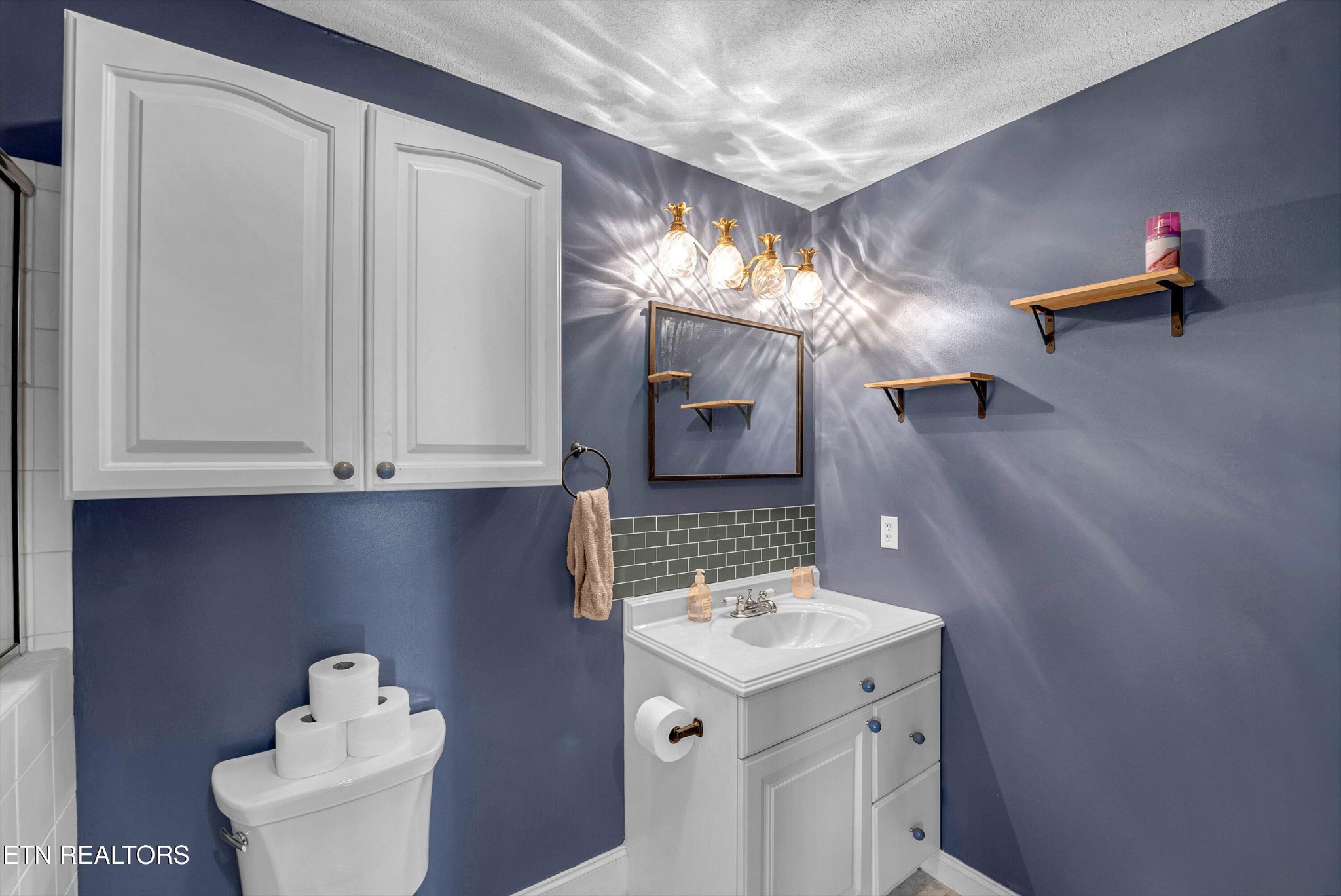 541 Sandy Springs Road Maryville, TN 37803 - Photo 40 of 59