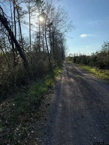 $100,000 | Tbd-a County Road 216, Beckville, TX 75631